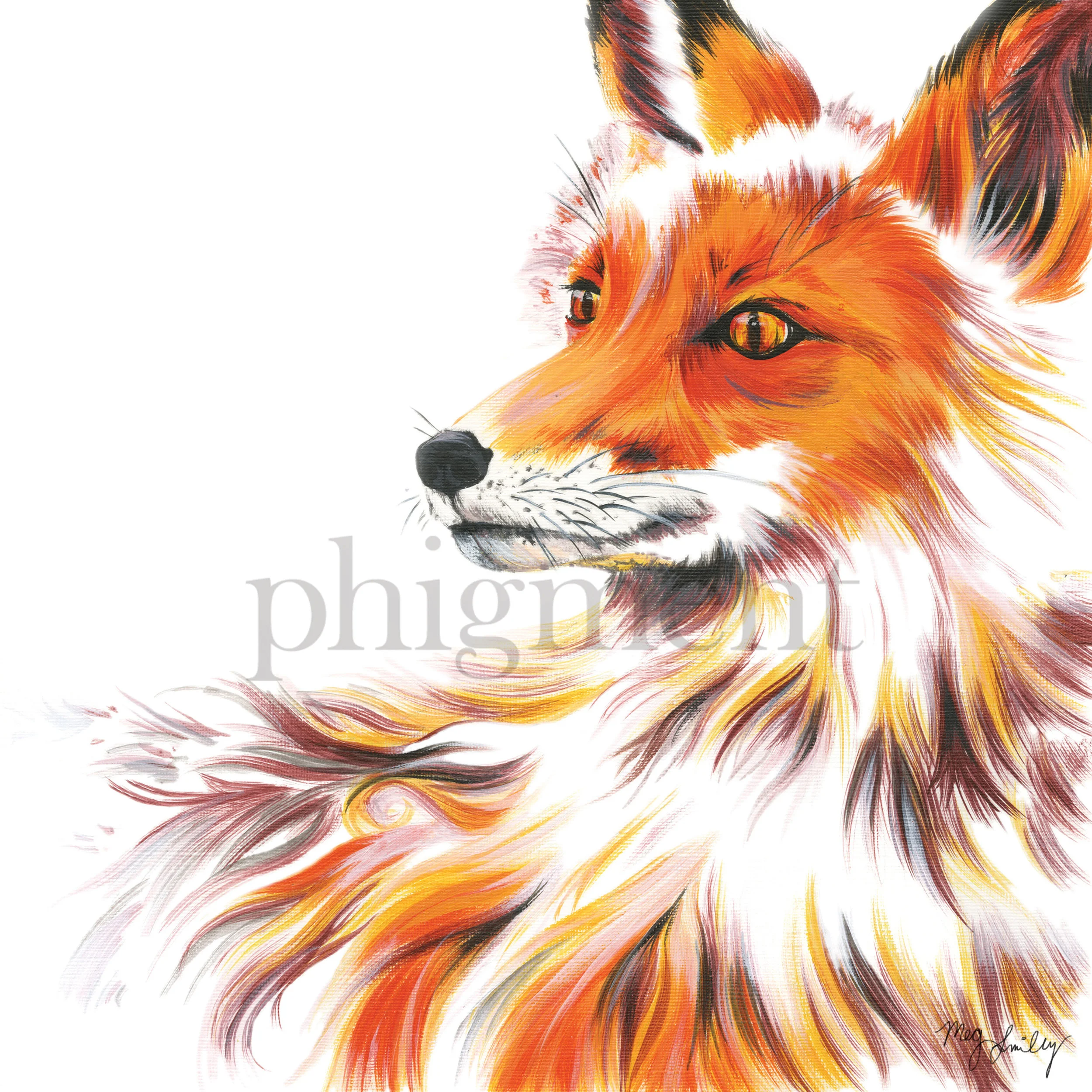 fox-12x12.jpg