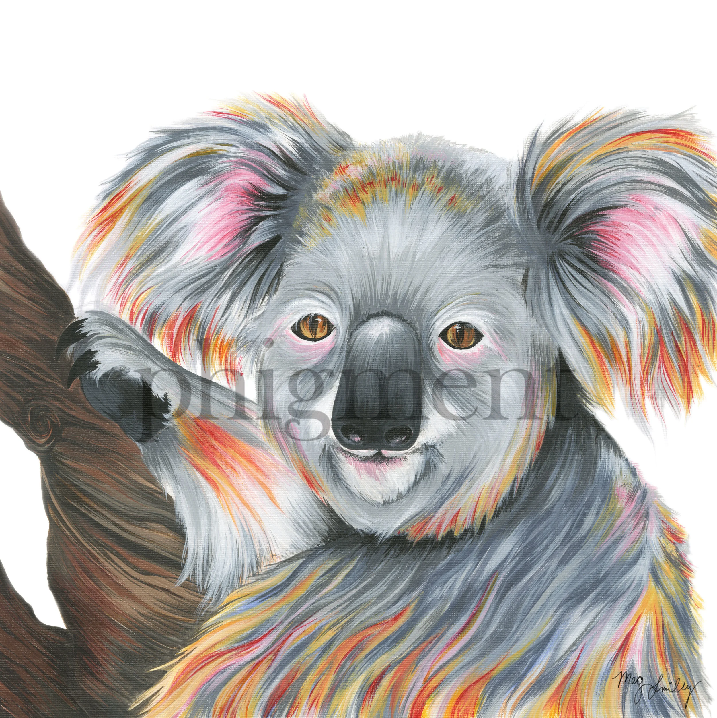 koala-12x12.jpg