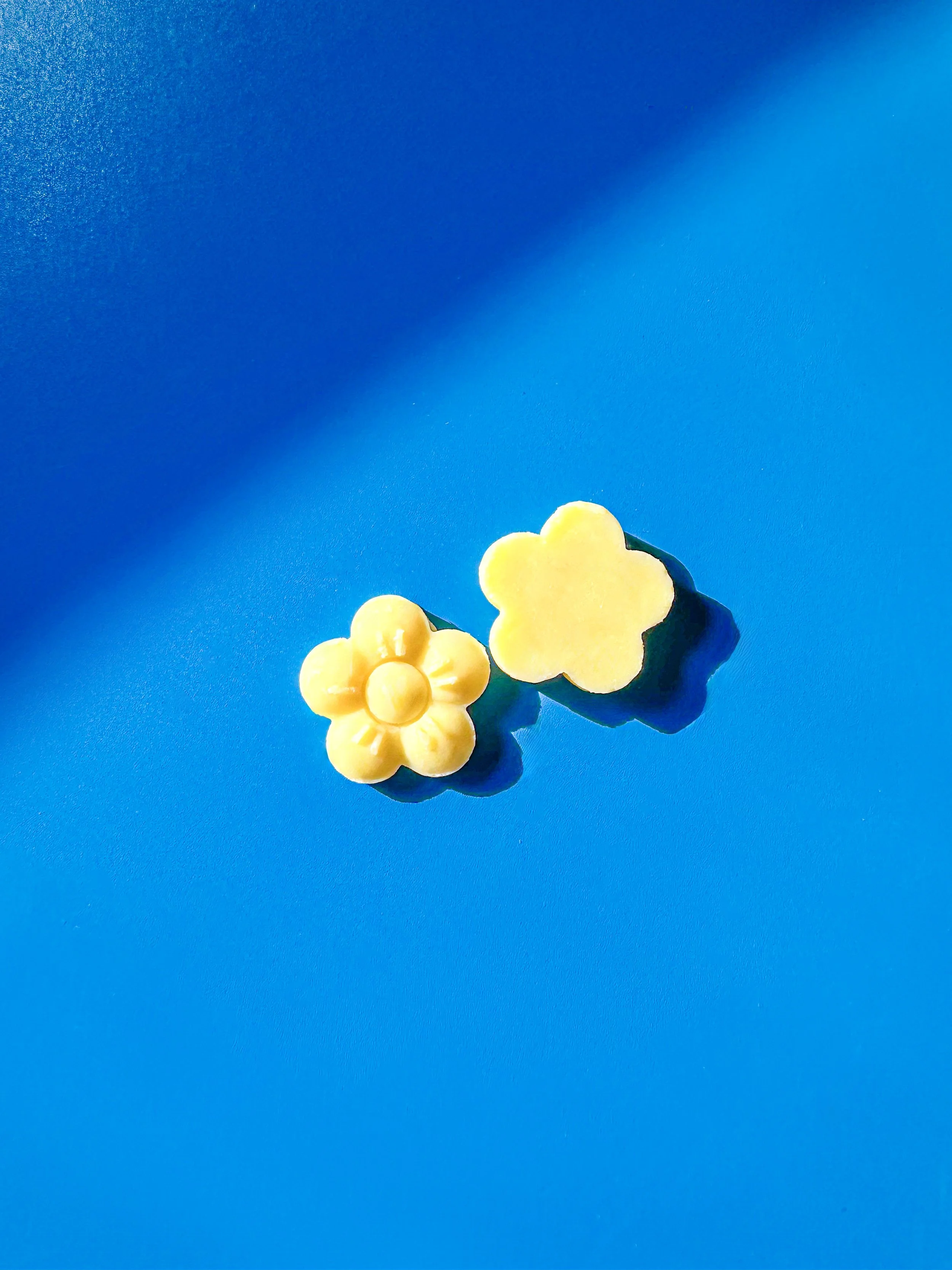 Two Flowers Plain.jpg