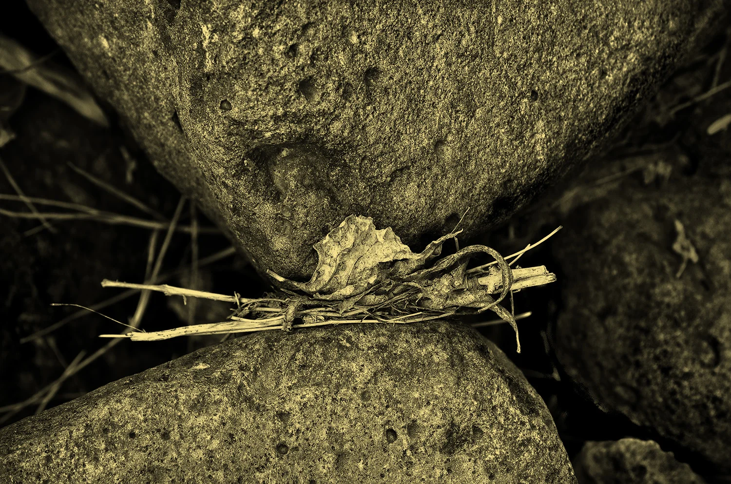 The Mysteries of Rocks