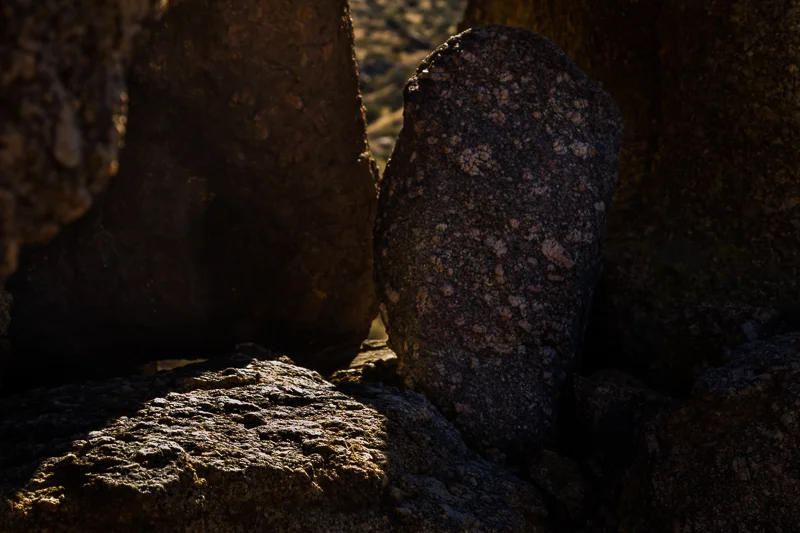 Crevice