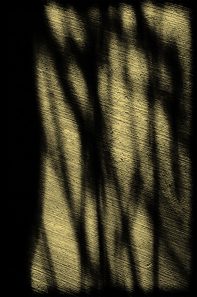 Spirit of Ancient Trees III