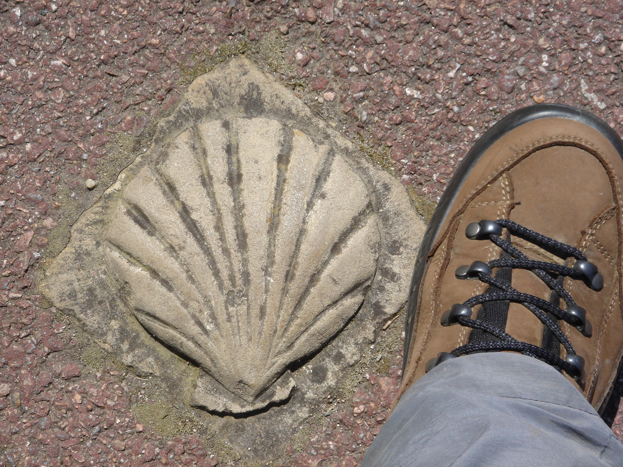 best shoes to walk the camino