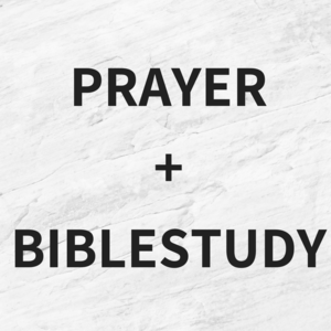 Online Biblestudy