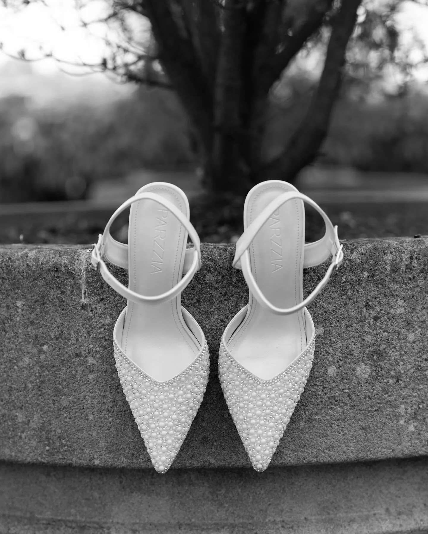 Selected frames from this May wedding 🫧🦢🤍