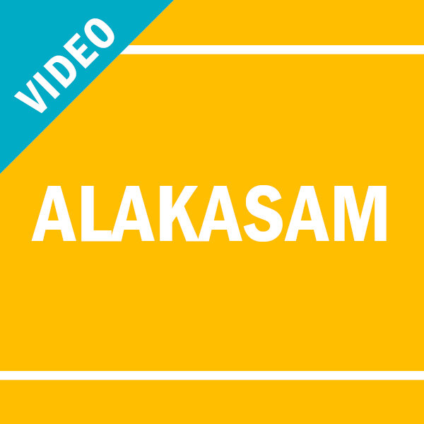 Performers 1 Alakasam Video.jpg