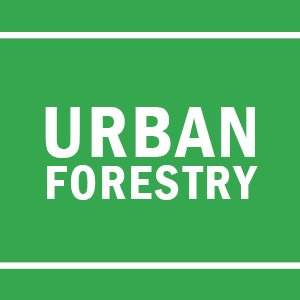 Wellness Fair Buttons - Urban Forestry.jpg