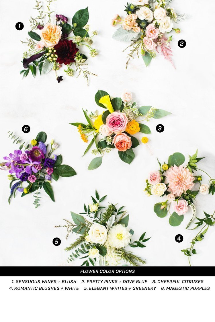 FleurdeLis_FLOWER+COLOR+CHOICES+W+NUMBERS.jpg