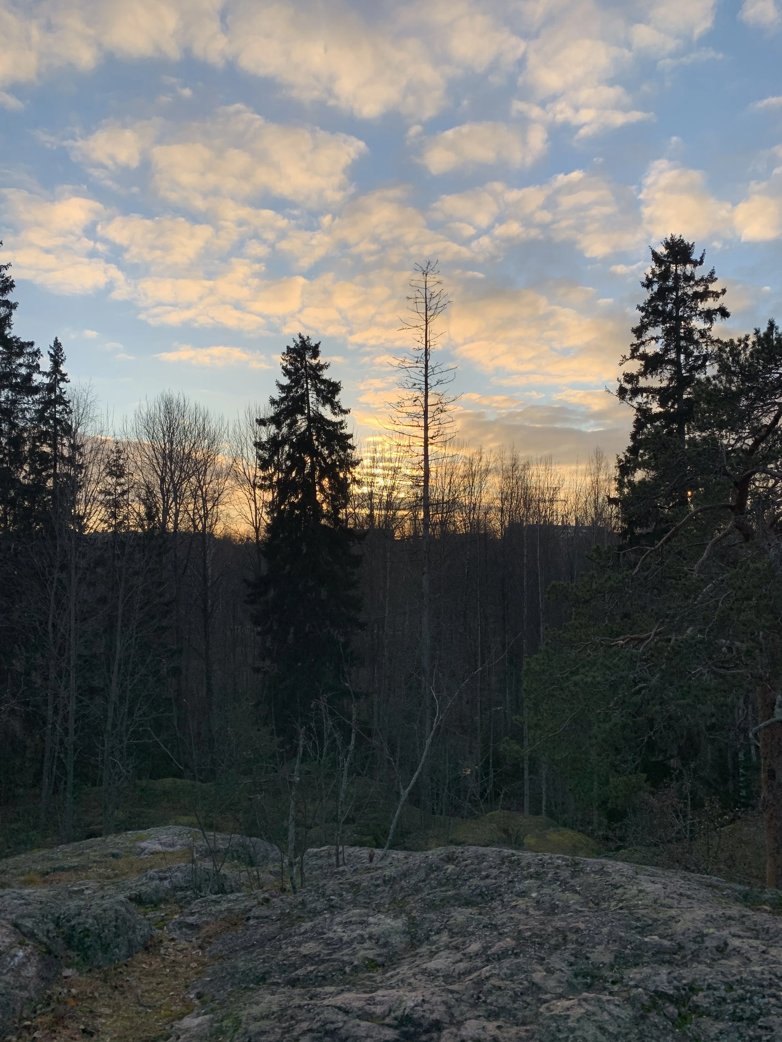 Syysmetsän kaikuja - Zagros 30 -sarja 