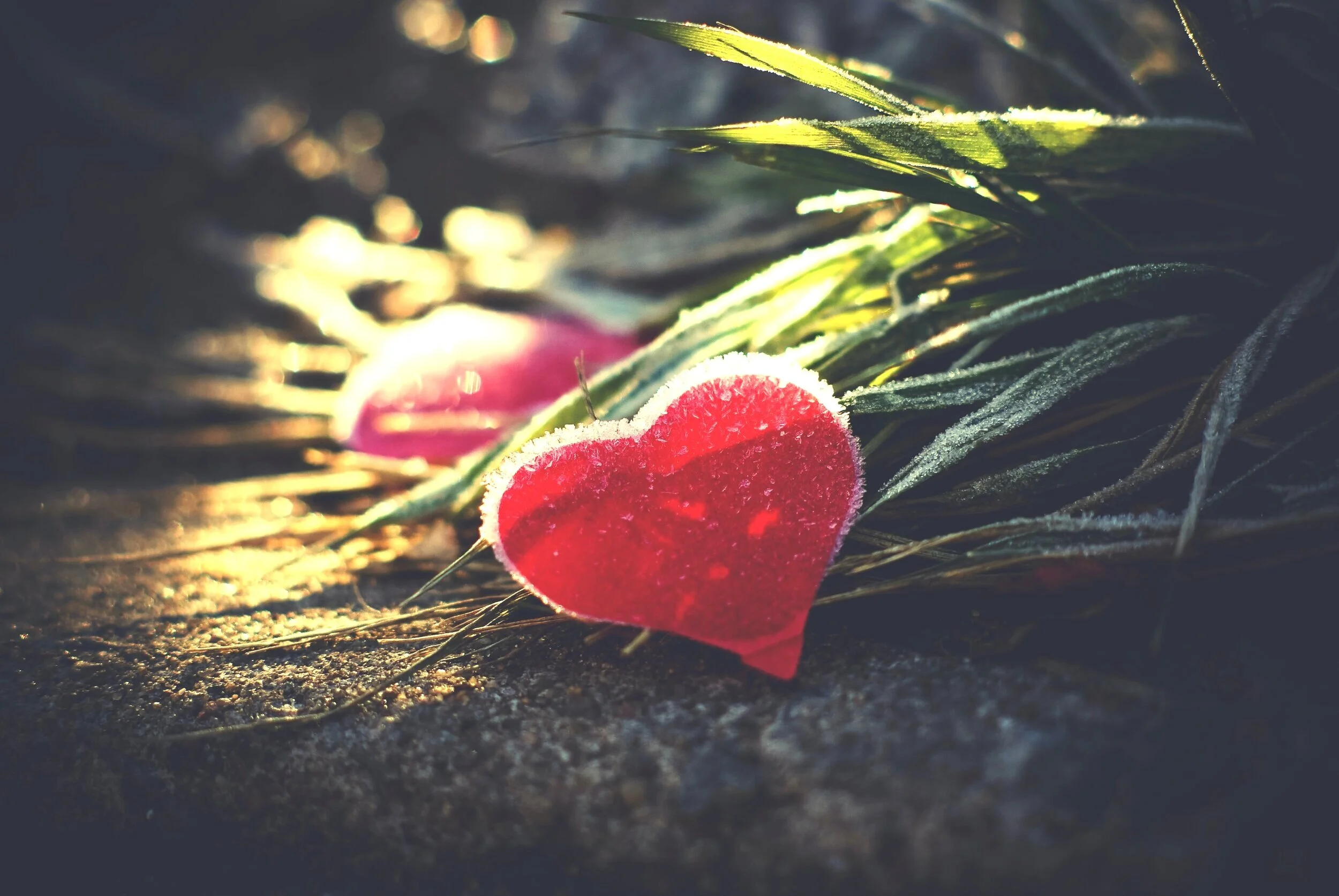 Catalyst Love—Knowing I Am His Beloved Changes Everything