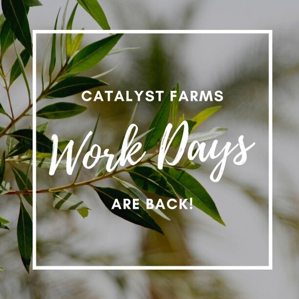 Catalyst Ministries Work Days are starting up again and we cannot wait! Starting in April, we will be having monthly work days at our Farms and you can sign up to help. You can email info@catalystministries.net to sign up for a specific work day. The