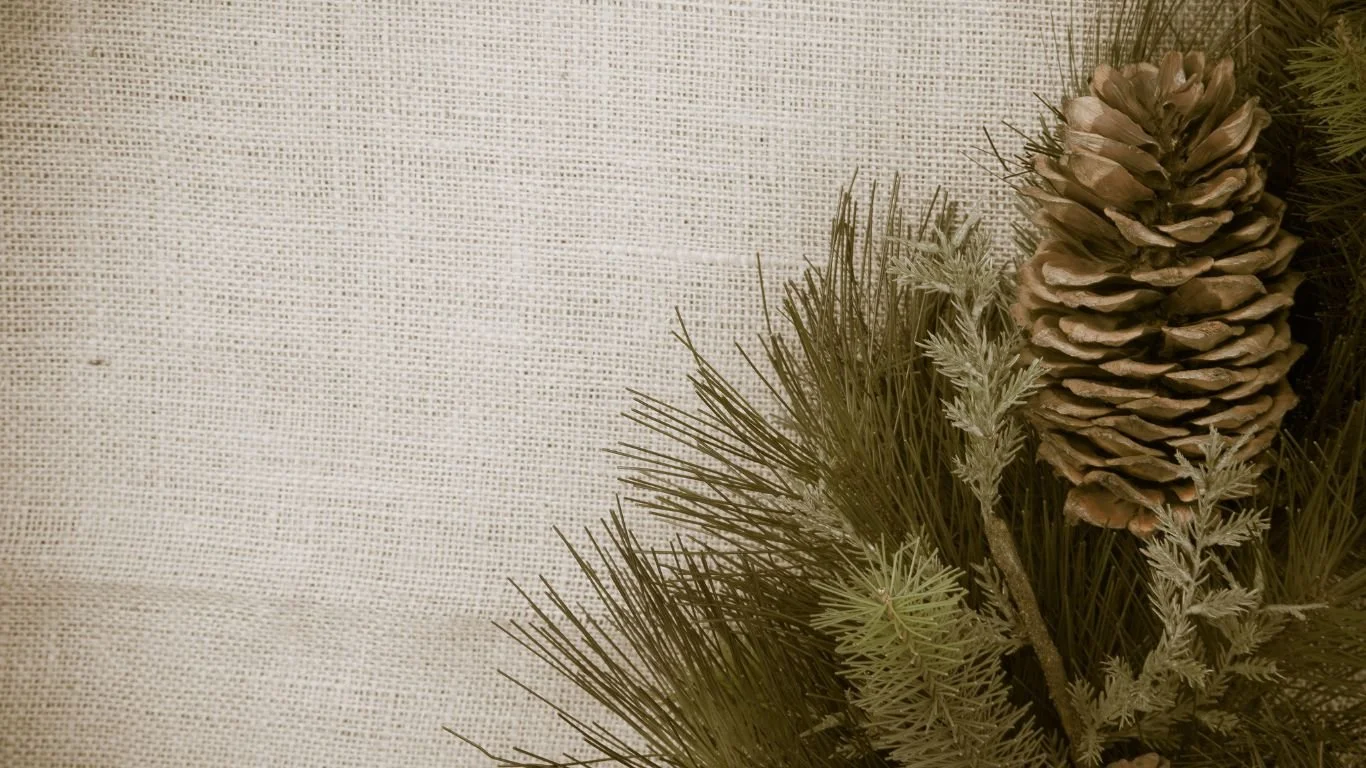 November Update from Julie 