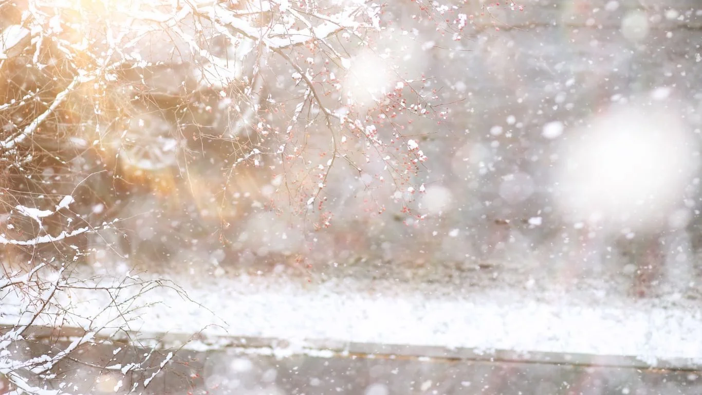 January Update from Julie