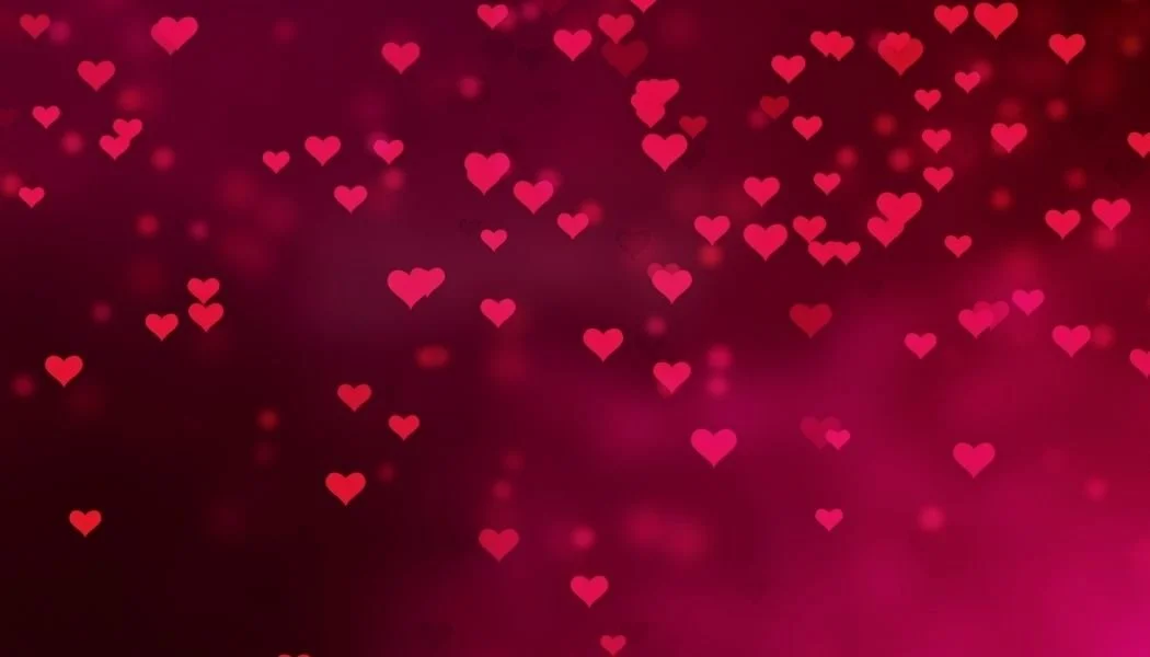 February Update from Julie 