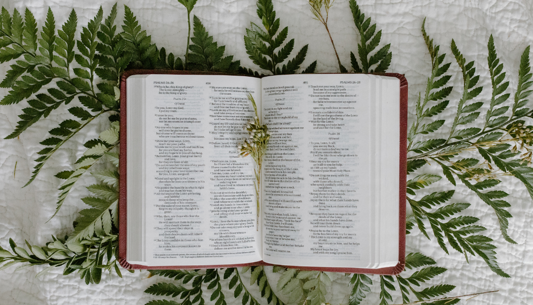 August Update from Julie