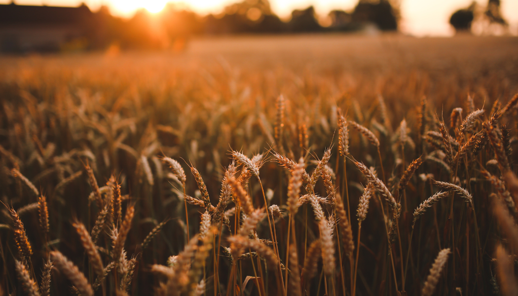 September Update From Julie