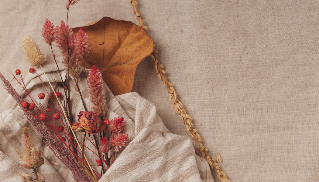 November Update from Julie