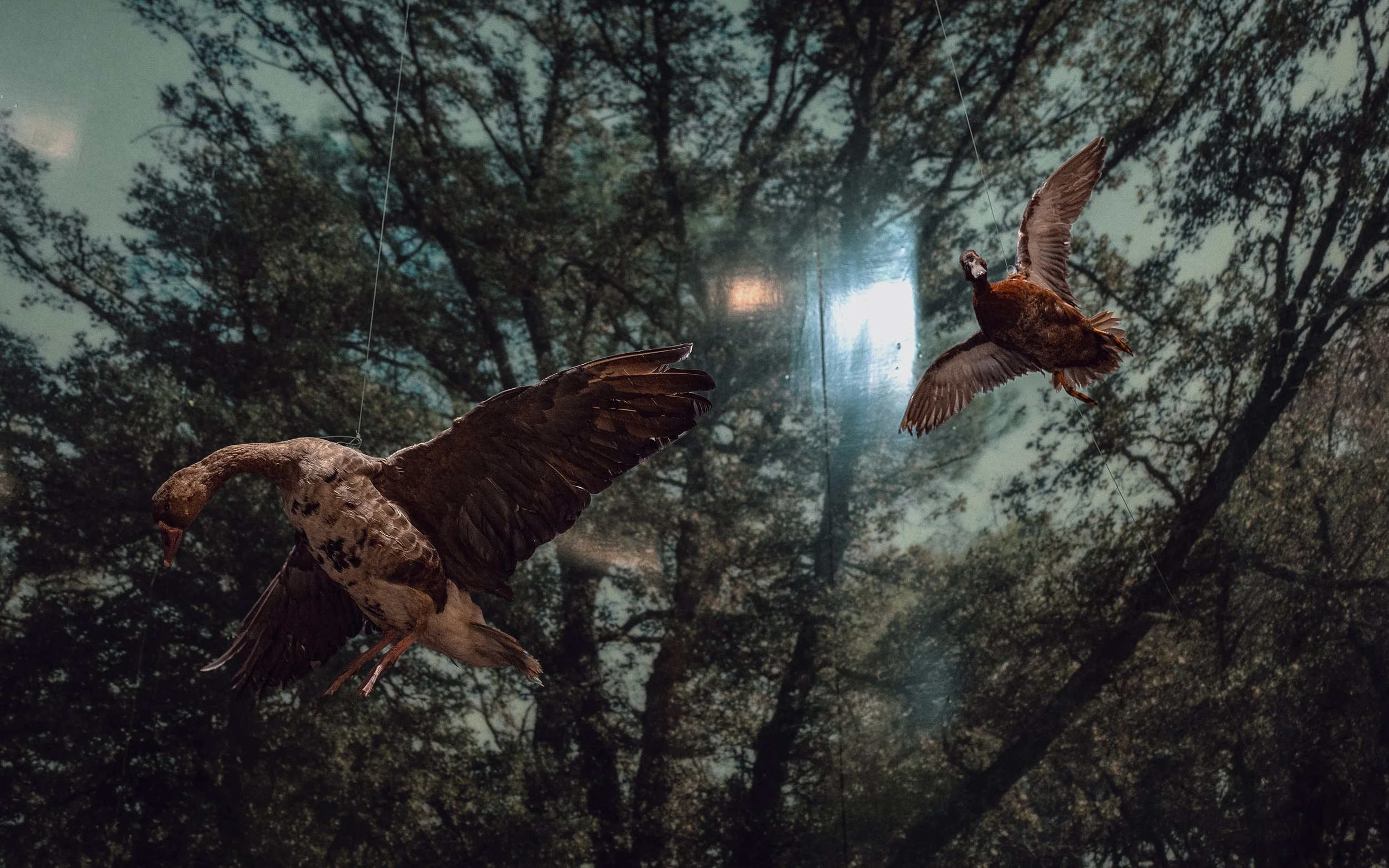 DSC_7145 smaller.jpg