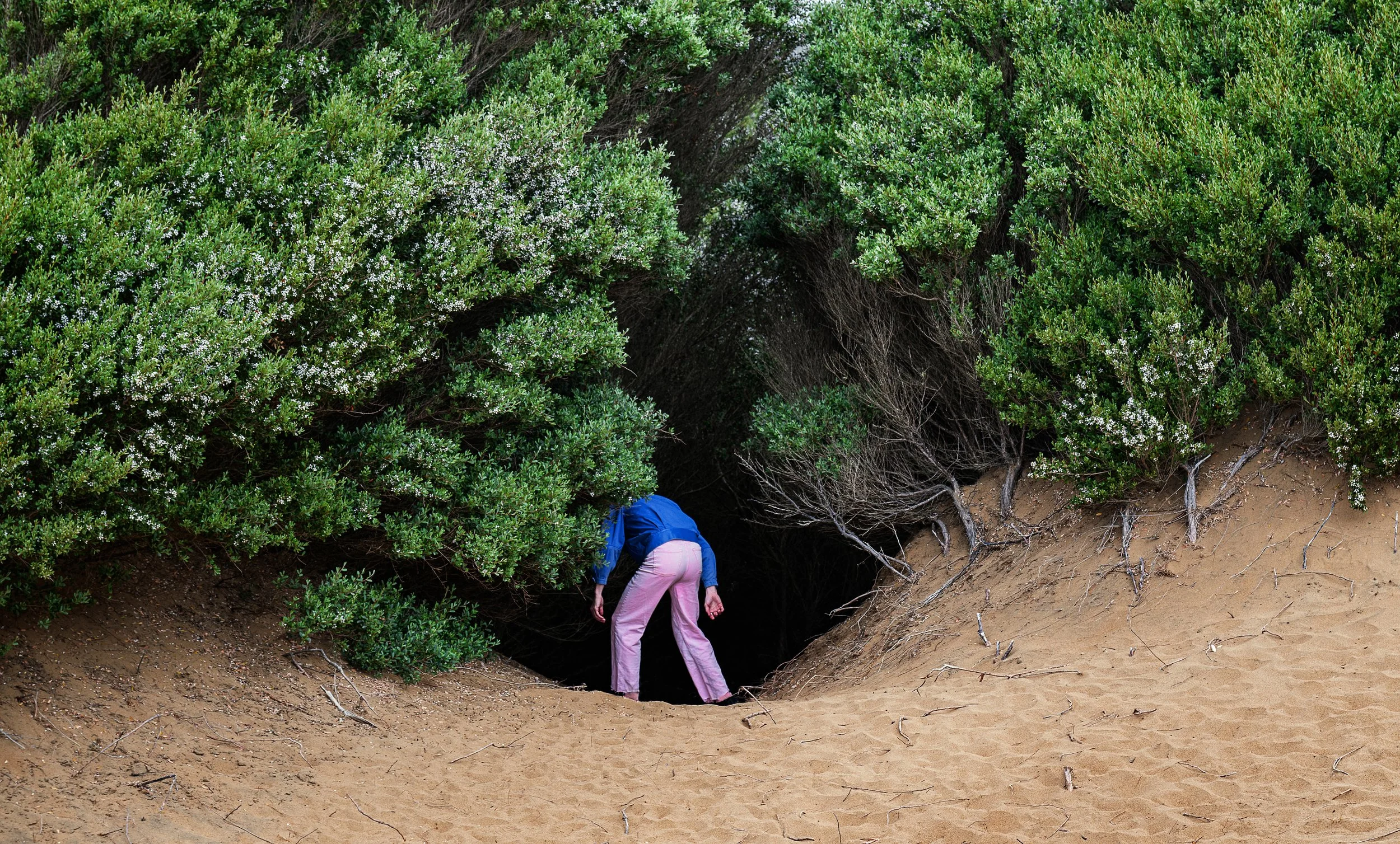 DSC_5914 copy smaller.jpg