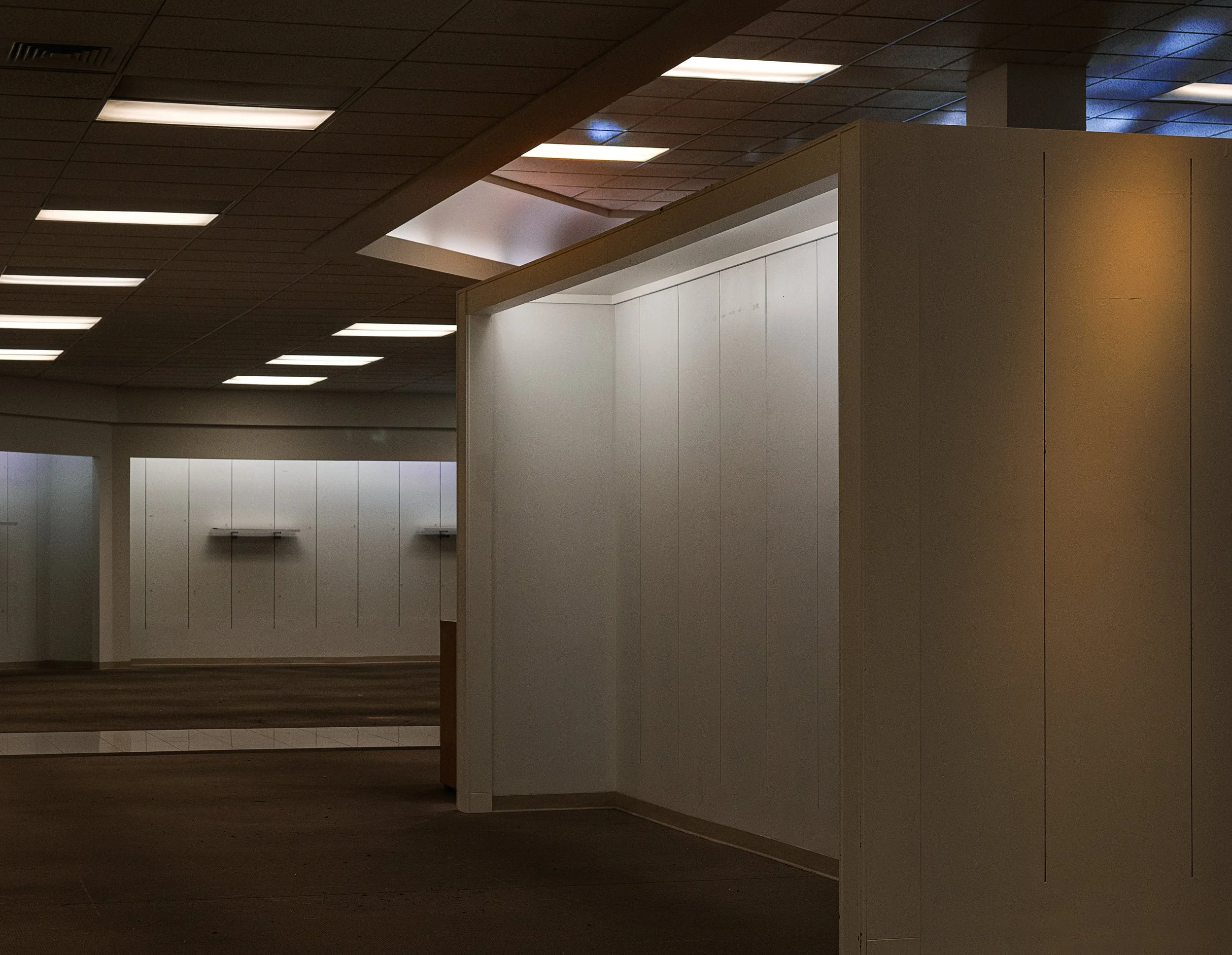 Interior view of a spacious room with a drop ceiling and fluorescent lights, featuring white partition walls and dark wood flooring.