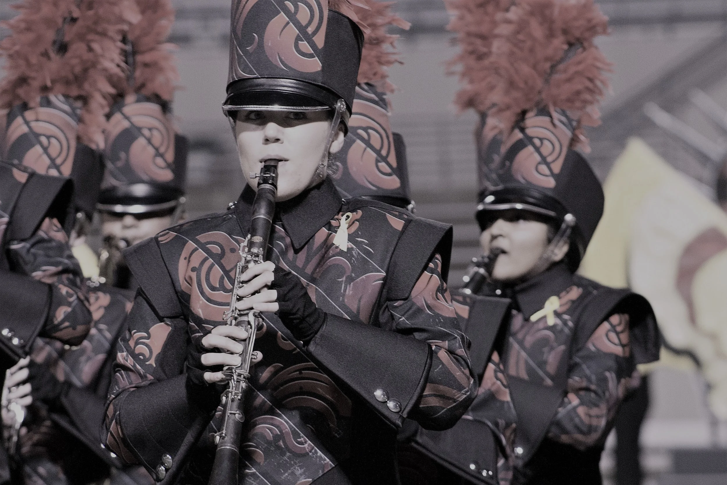 Band 304.jpg