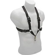 Harness.jfif