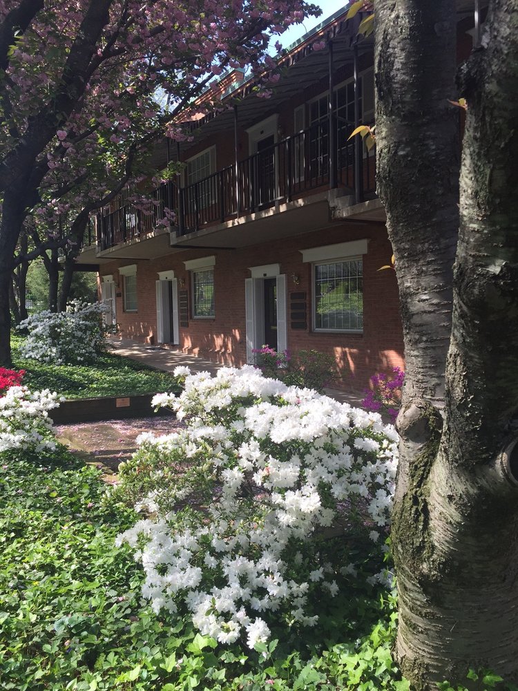 Lotus Psychiatry & Wellness