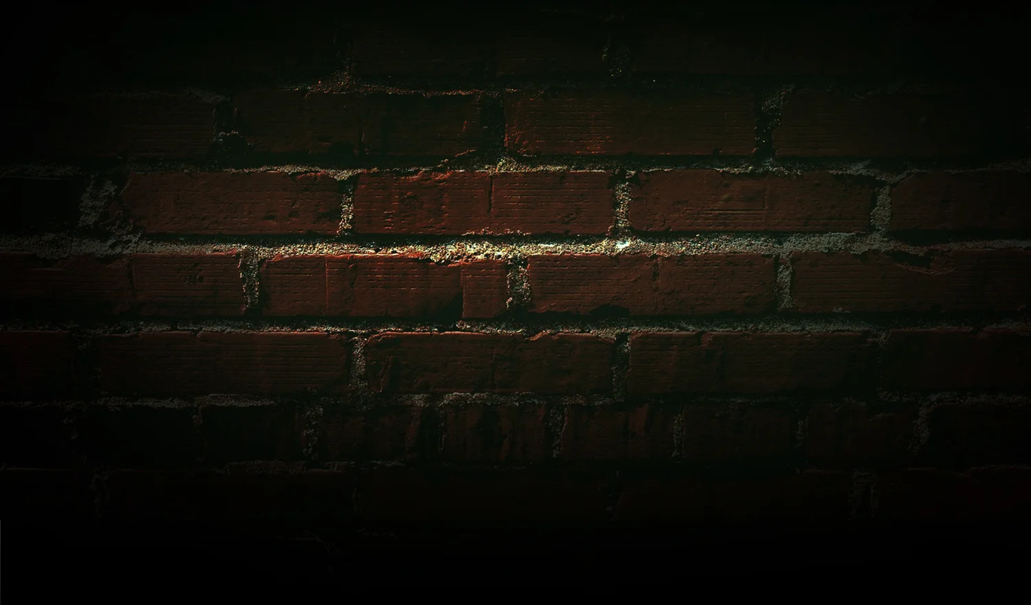 newbanner.jpg