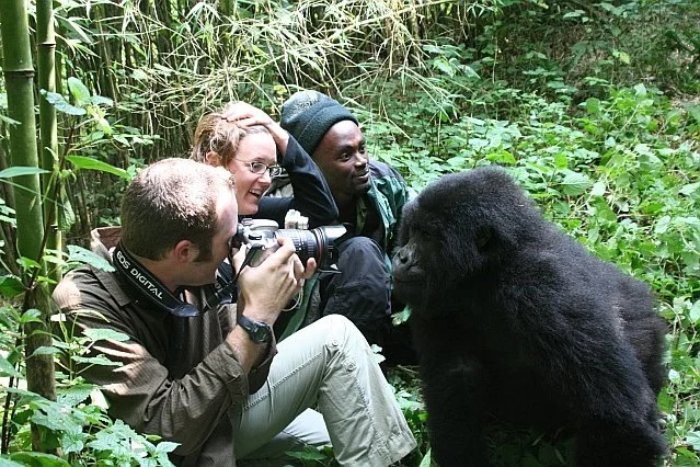 Gorilla Trekking with David Sugden