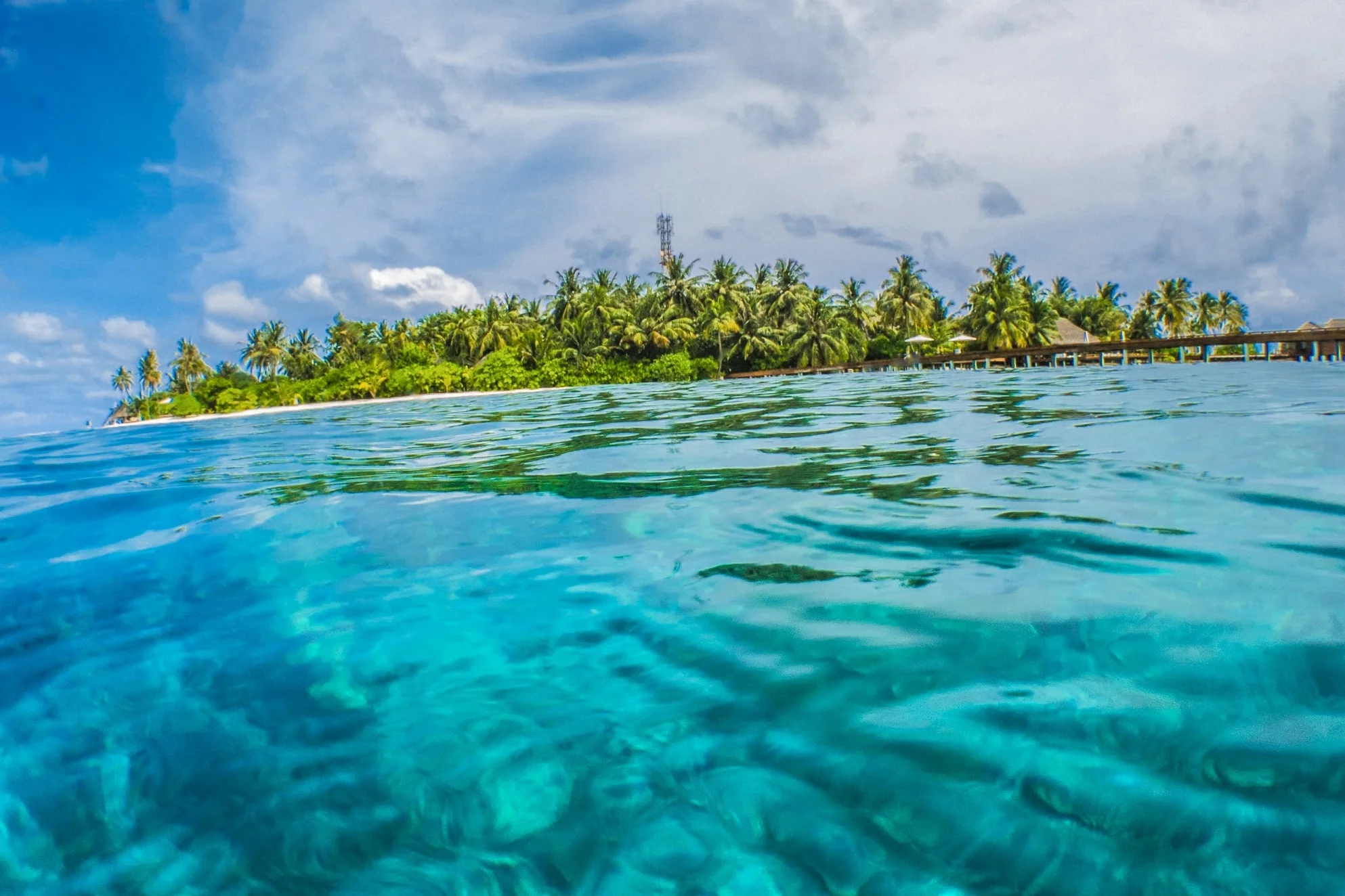 Agent Report - The Maldives