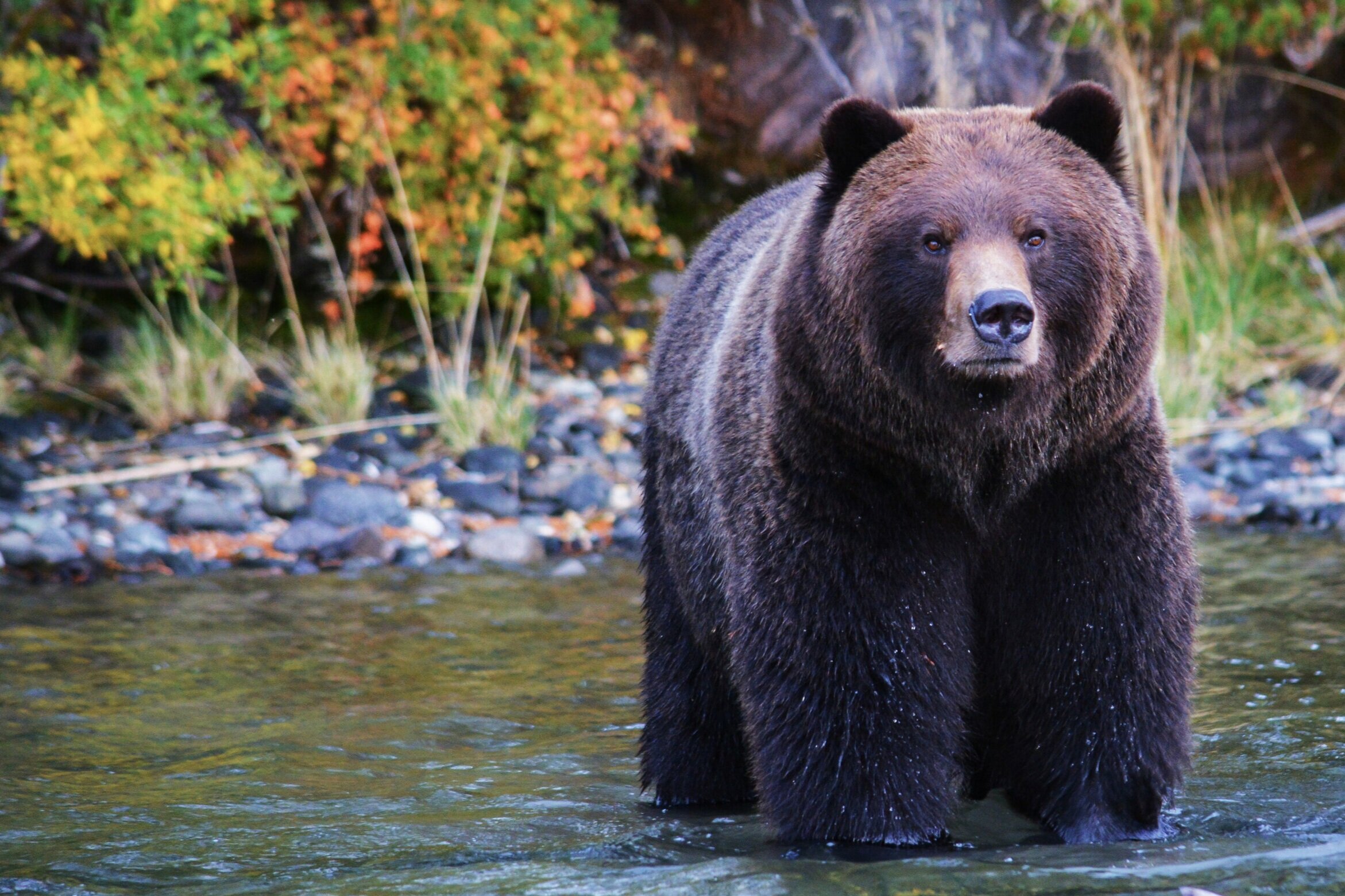 Our Kind of Bear Market