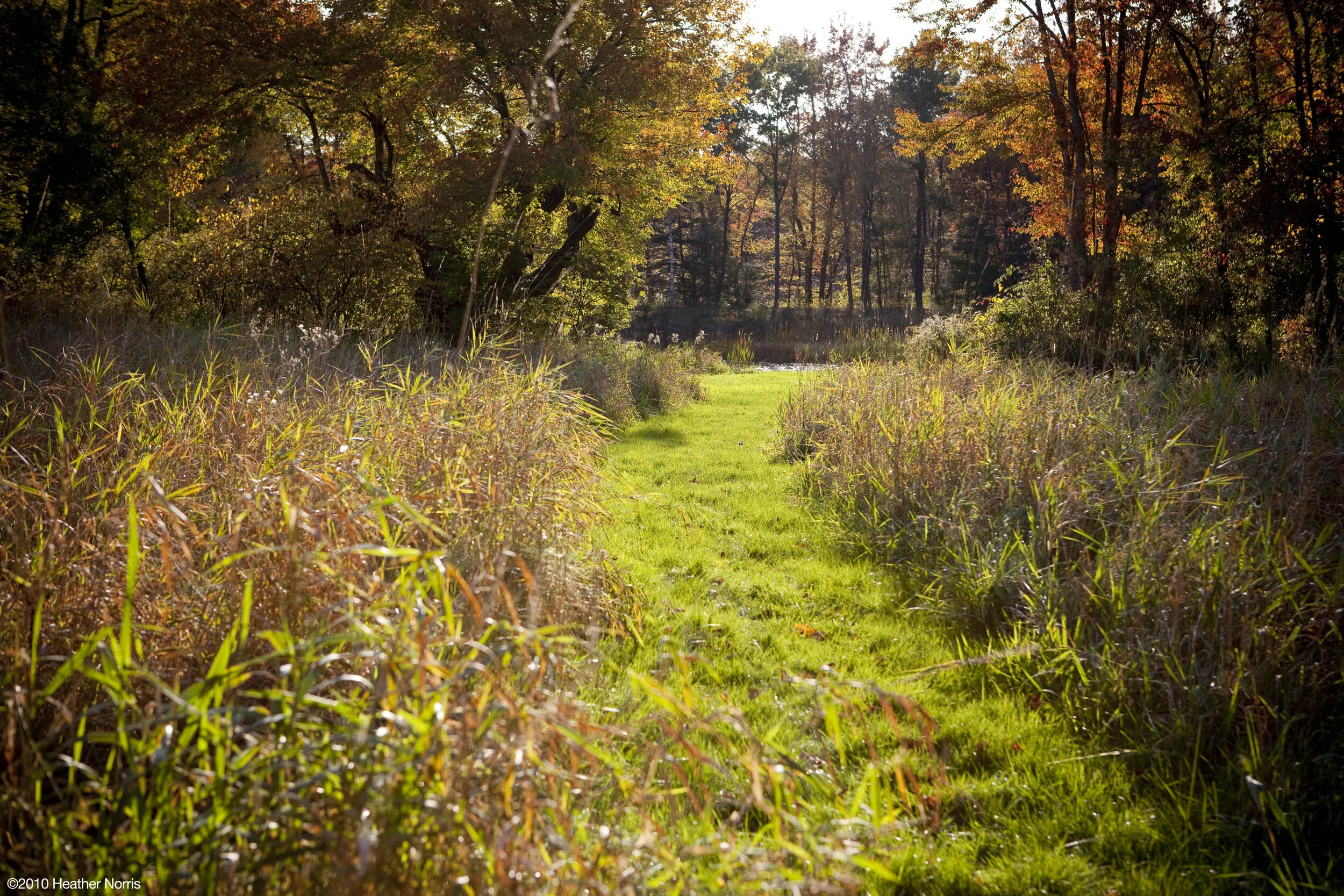 A picture-perfect morning nature walk (photo credit: Winvian Farm)