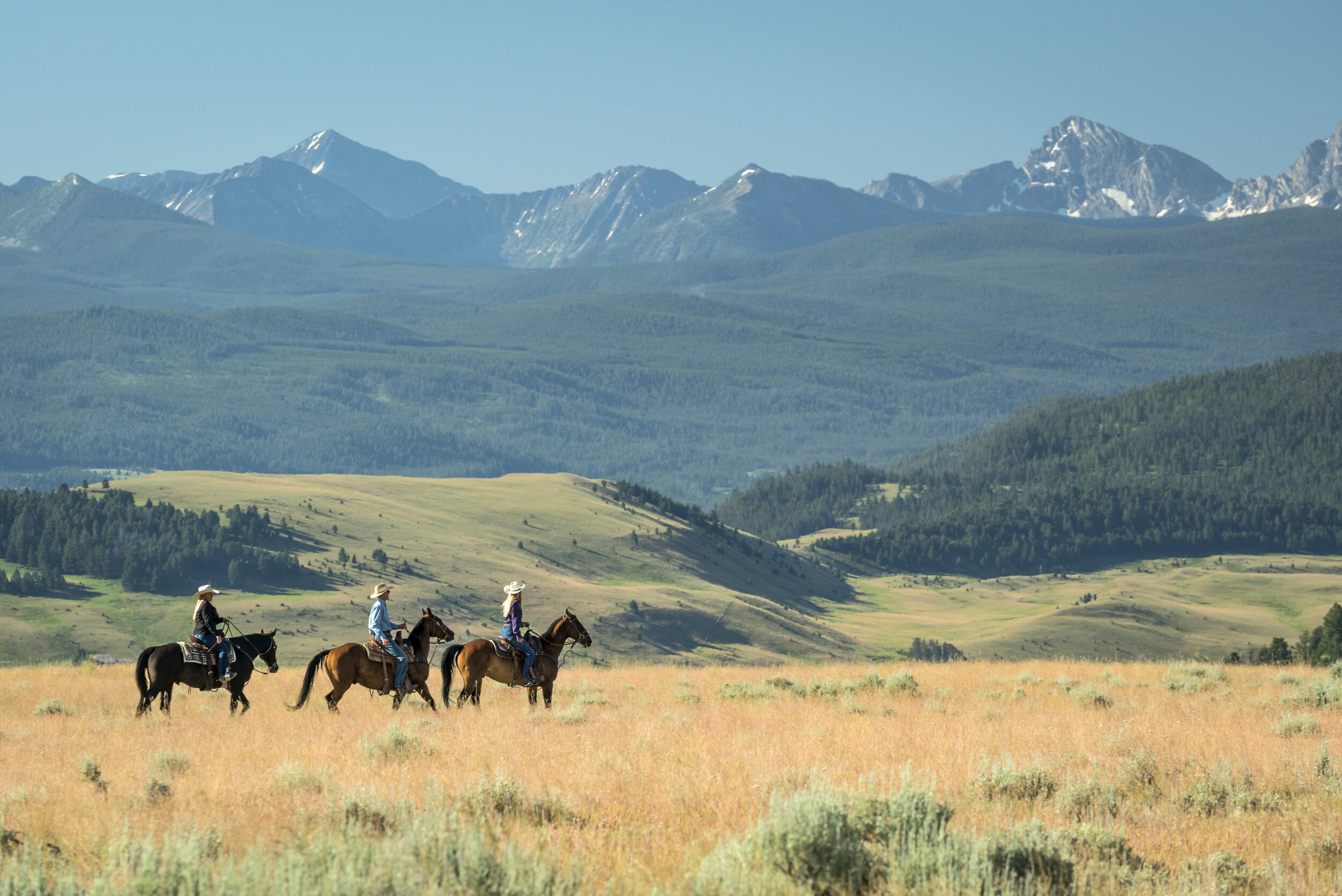   Horseback riding in the fall (photo credit: The Ranch at Rock Creek)  