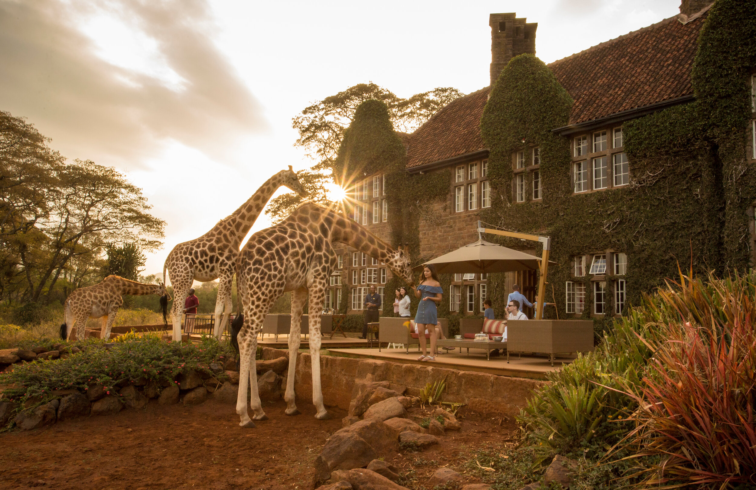   The beautiful exterior of Giraffe Manor, which wouldn’t be complete without a couple of giraffes (photo credit: Janine Cifelli Representation)  