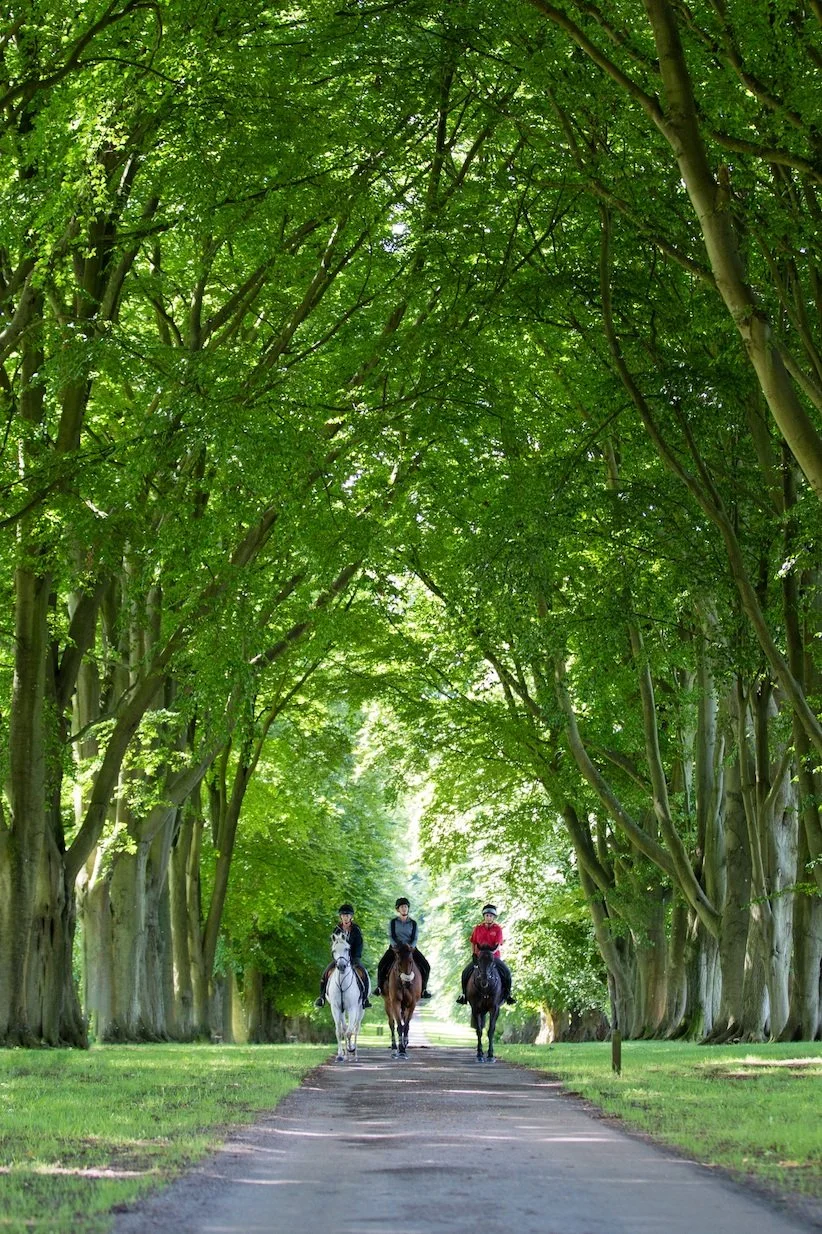 Explore the English Countryside from Lucknam Park 
