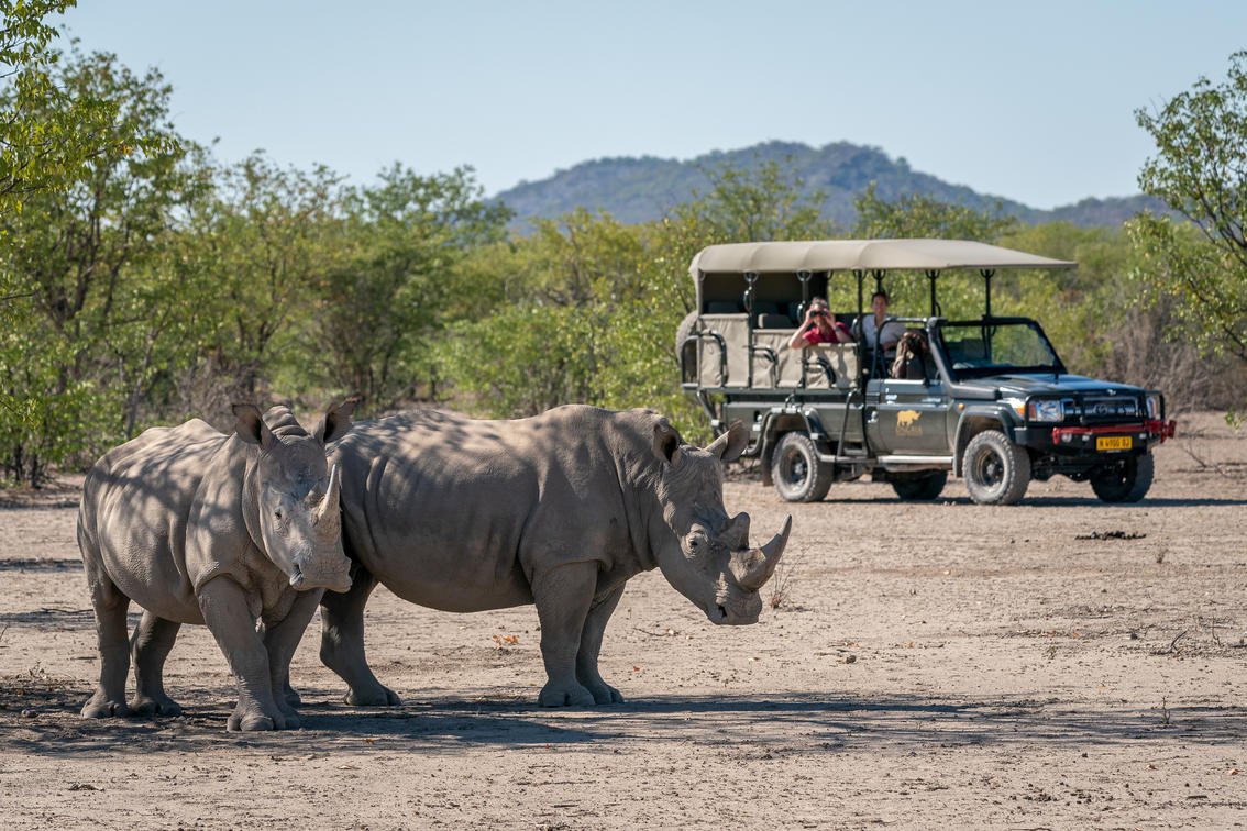 Rhinos in Etosha National Park Namibia