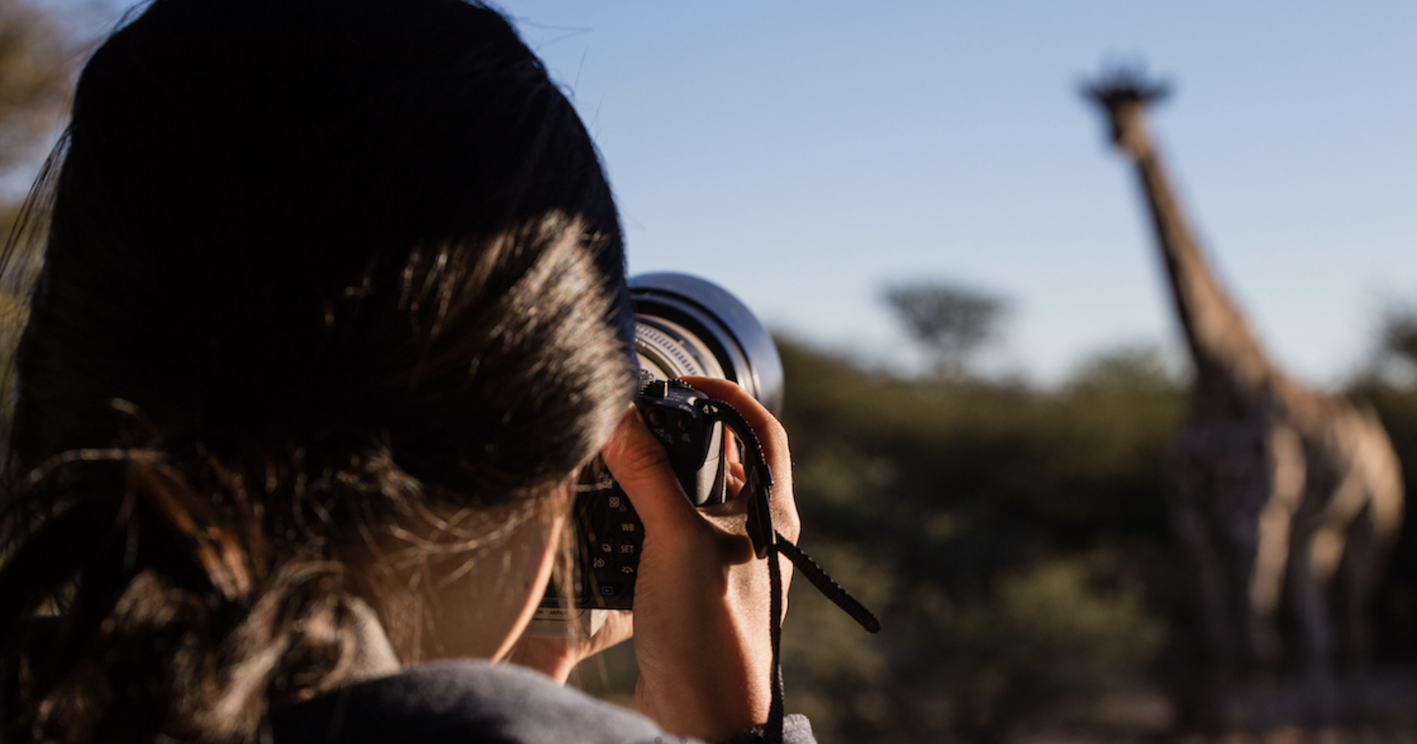 Wildlife photography at Okonjima Nature Reserve in Namibia