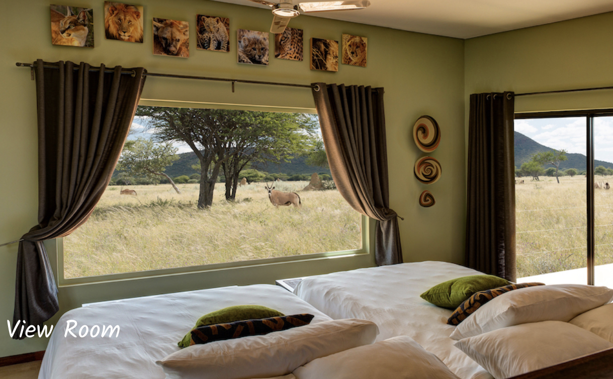 Wildlife views from the bedroom window at Okonjima Nature Reserve in Namibia