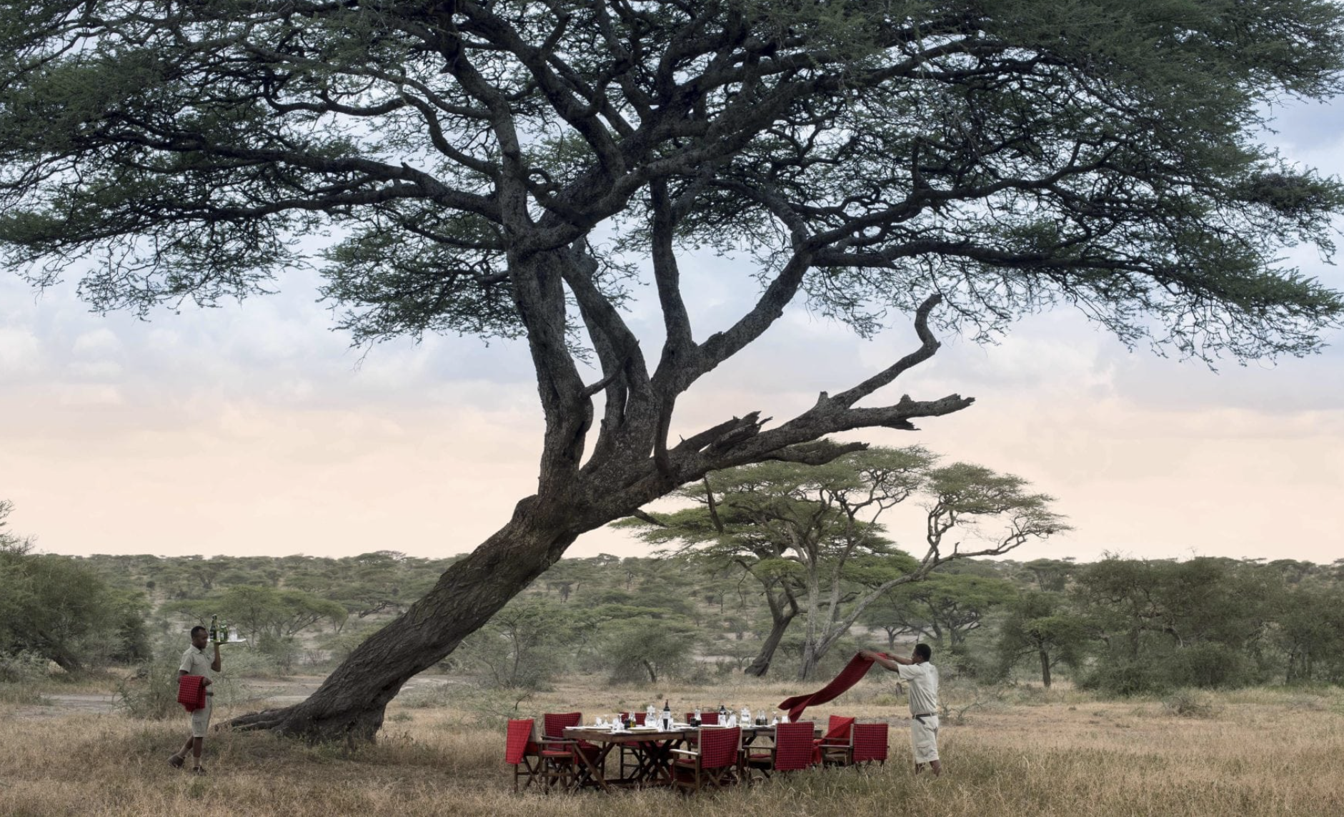 Outdoor dining at andBeyond Serengeti Under Canvas in Tanzania, Africa