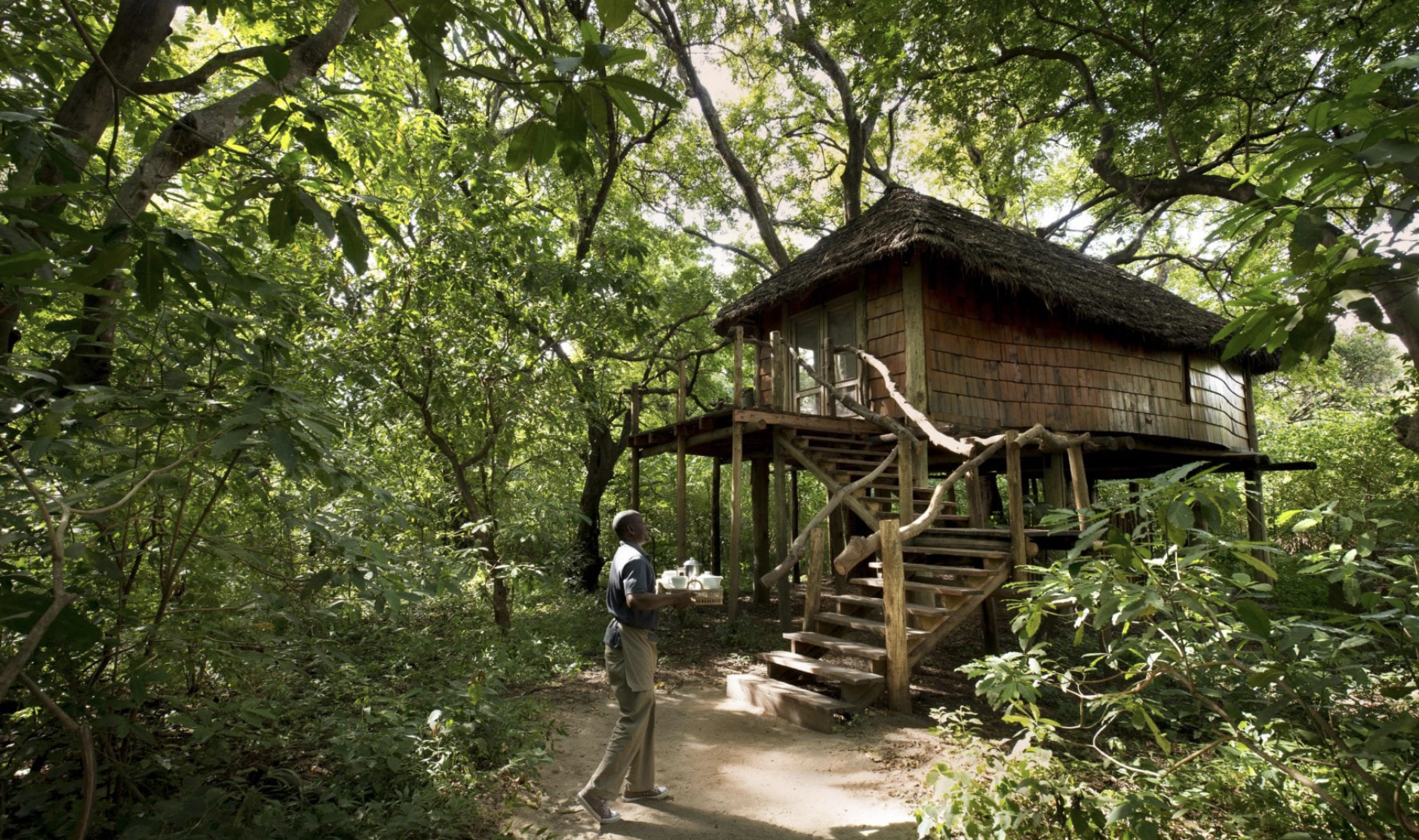 Treehouse at the andBeyond Lake Manyara Tree Lodge in Tanzania, Africa