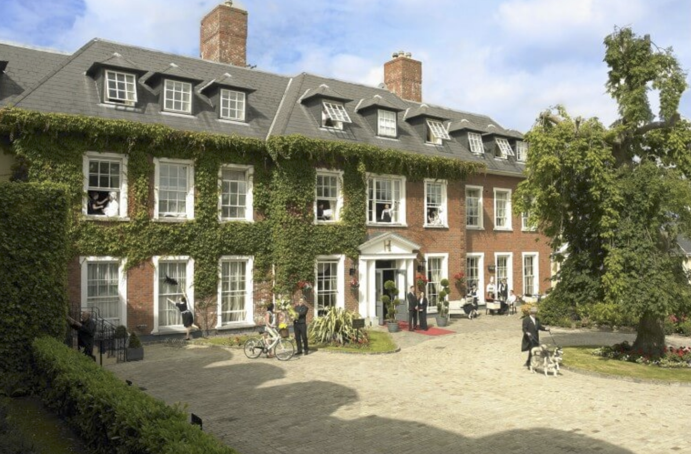 From Celebrated 1.png