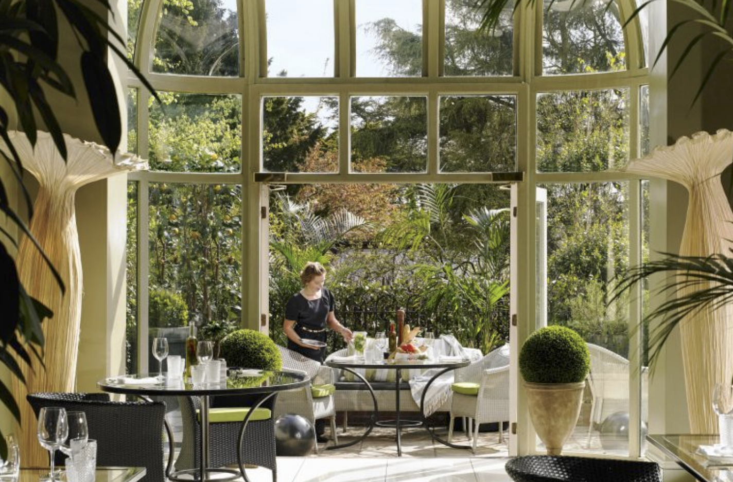 From Celebrated 3.png