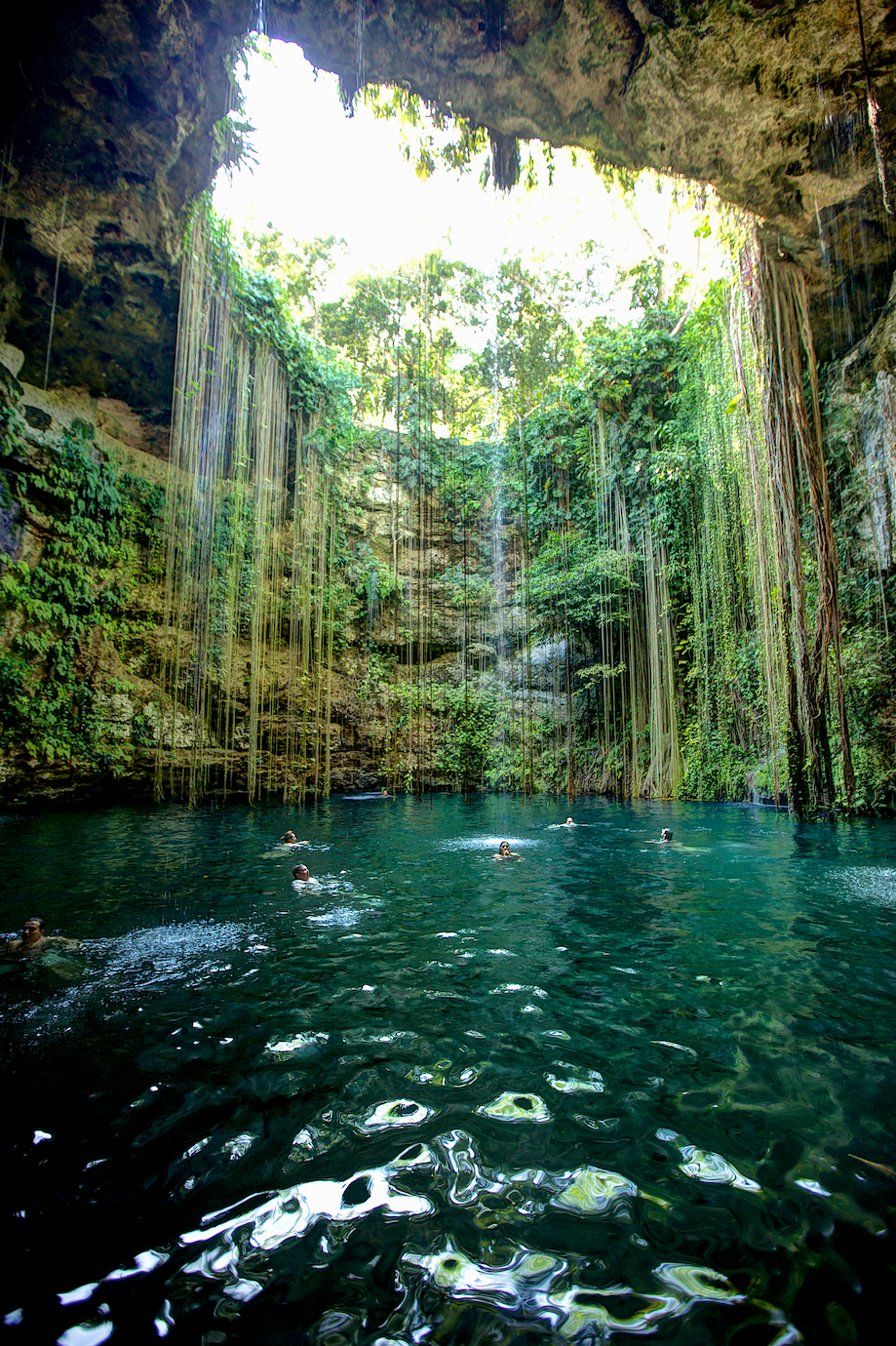 Nature by the Sea in the Riviera Maya 