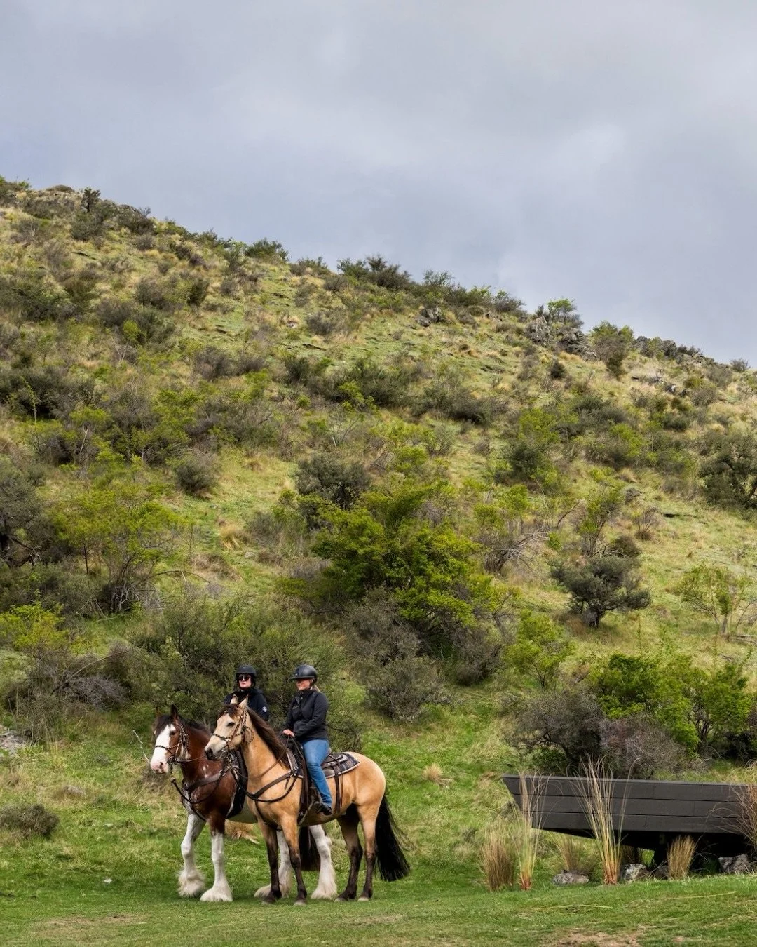 Experience New Zealand as a honeymooner might, whether you are planning your very own honeymoon or simply looking to reconnect with your special someone. We recently chatted with our friends at Seasonz to get all the best recommendations for this inc