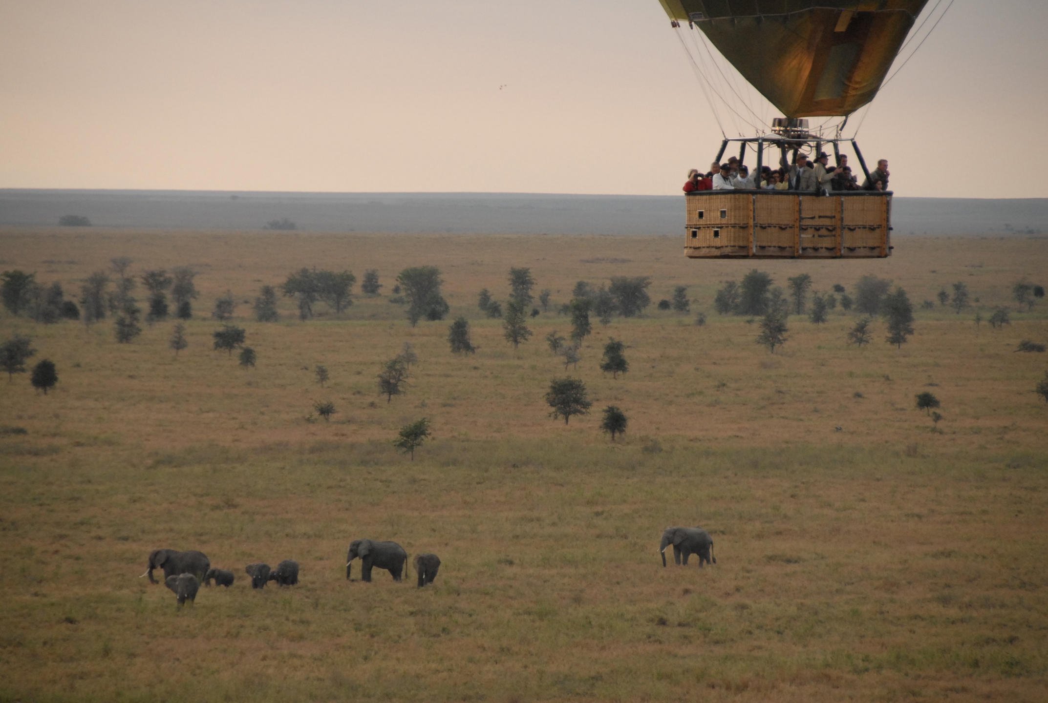 Hot air balloon private excursion on the Serengeti during the Great Migration