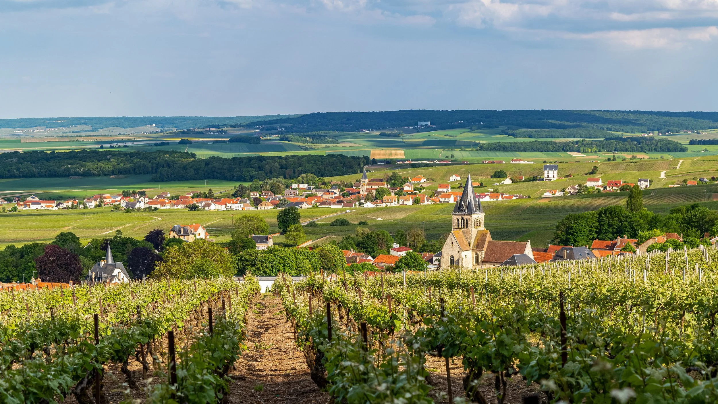 Stunning rolling vineyards in the Champagne region of France with Poe Travel and Decouvertes