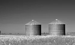 agriculture-architecture-b-w-1058398.jpg