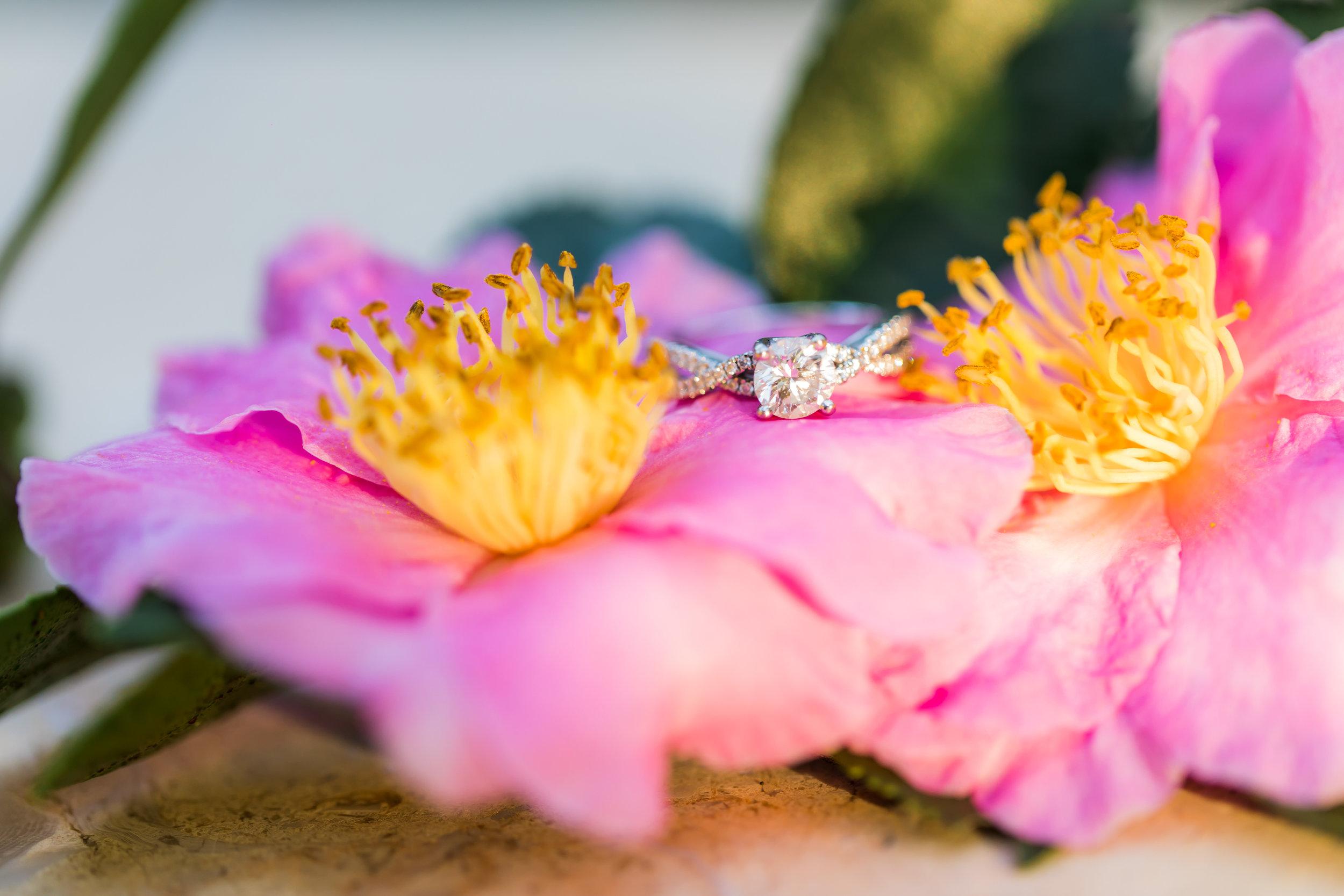 5 Tips for a Stress-Free Engagement Photo Shoot