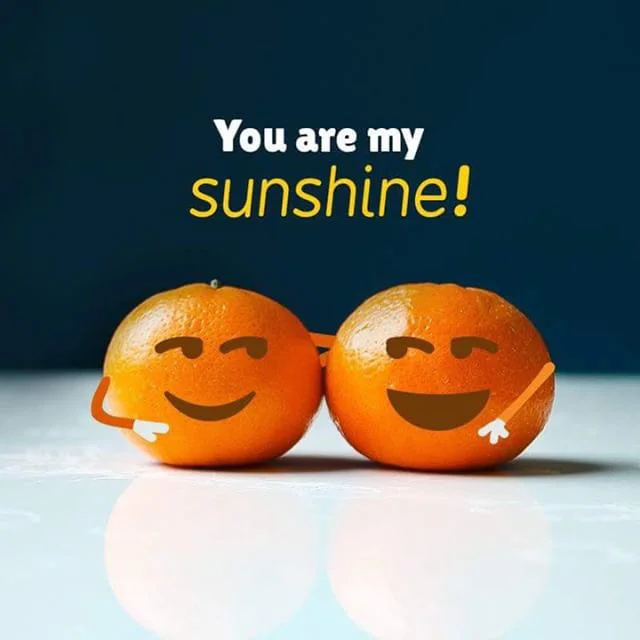 darling-clementines-you-are-my-sunshine.jpg