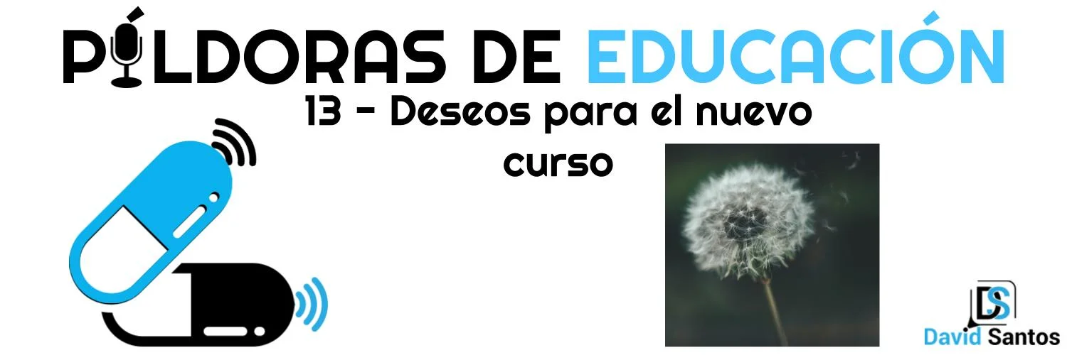 PDE13 Cover (long).jpg